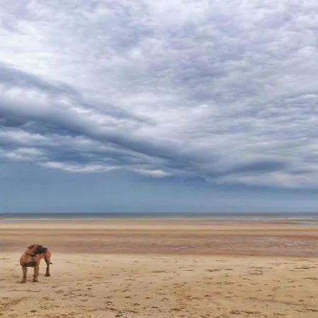 In With Sea View * De Haan