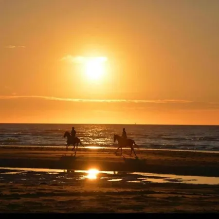 In With Sea View Apartman *