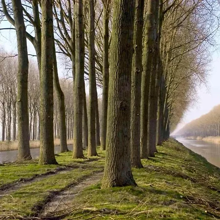 Apartman In With Sea View De Haan